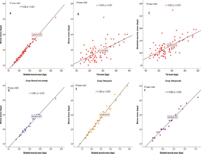 Bone Mass Chart Kg